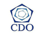 Career Development Organization - CDO