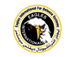 Eagles International For Defense Systems