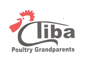 Tiba Poultry Grand Parents